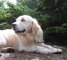 Wyly (photo by Mark Malnati)
