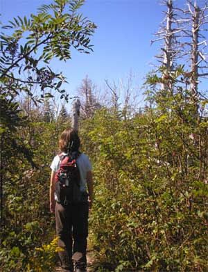 Cathie, on the flat section just below the first cap (photo by Kathy Veilleux)