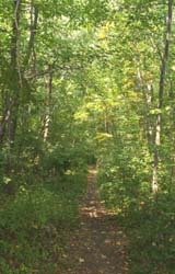 Rail Trail (photo by Webmaster)