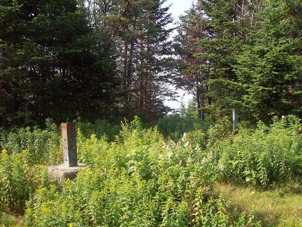 Fire tower supports on Mt. Martha (photo by Alex Clogston)