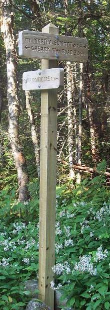 Trail signs for a junction near Mt. Martha (photo by Alex Clogston)