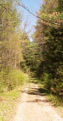 Pine Plains Road (photo by Webmaster)