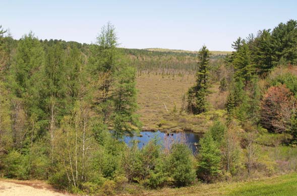 View of Blood Swamp from Dike #3 (photo by Webmaster)