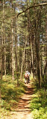 Midstate Trail above Blood Swamp shortly before the memorial benches (photo by Webmaster)
