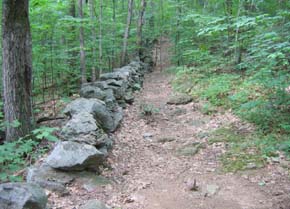 Trail along a stone wall (photo by Mark Malnati)