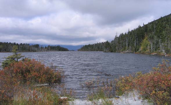 Norcross Pond (photo by Mark Malnati)