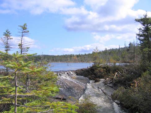 Natural dam at the outlet of Norcross Pond (photo by Mark Malnati)