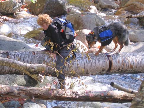 Mary and Zvijezda crossing Nancy Brook (photo by Mark Malnati)