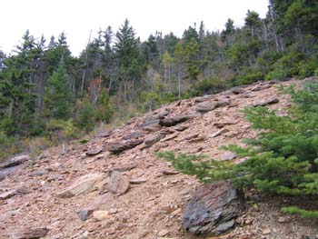 Slide on Mount Nancy Trail (photo by Mark Malnati)