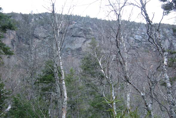 Cliffs on East Osceola's north spur (photo by Bill Mahony)
