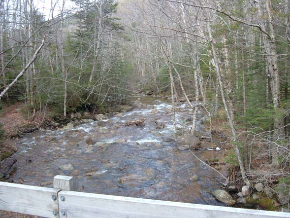 Brook (photo by Bill Mahony)