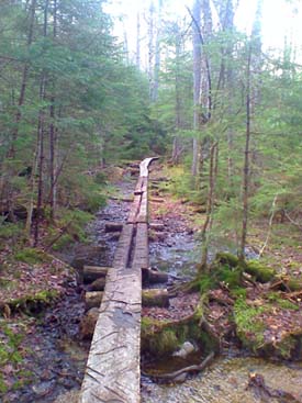 Bog bridges (photo by Bill Mahony)