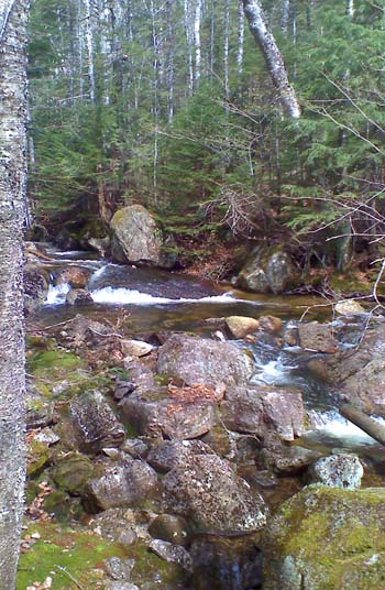 Brook (photo by Bill Mahony)