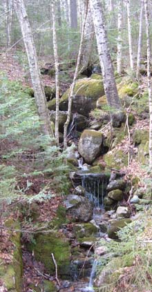 Cascades along Tripoli Road (photo by Bill Mahony)