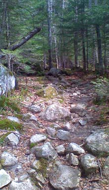 Rocky trail (photo by Bill Mahony)