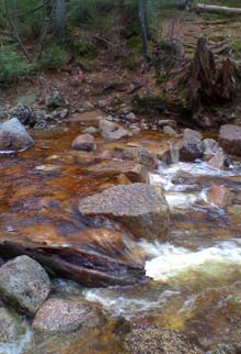 Cascades (photo by Bill Mahony)