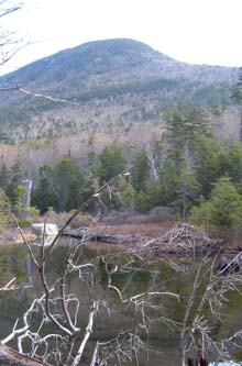 View above Greeley Pond (photo by Bill Mahony)