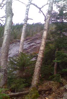 Slide (photo by Bill Mahony)