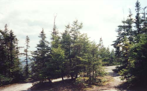 Mt. Pemigewasset (photo by Webmaster)