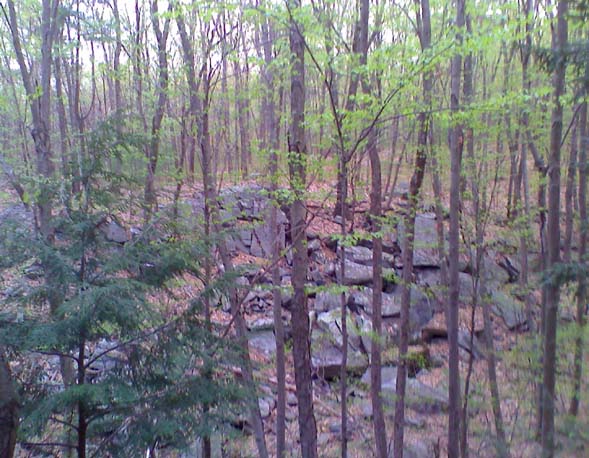 Brook and boulders along South Gorge Trail (photo by Bill Mahony)