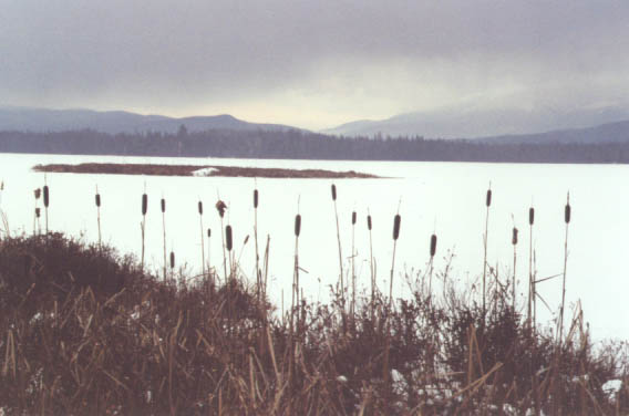 Cherry Pond, Crescent Range, and the Presidentials (photo by Webmaster)