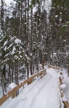 Mud Pond Trail (photo by Webmaster)