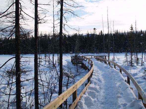 Viewing platform at Mud Pond (photo by Webmaster)