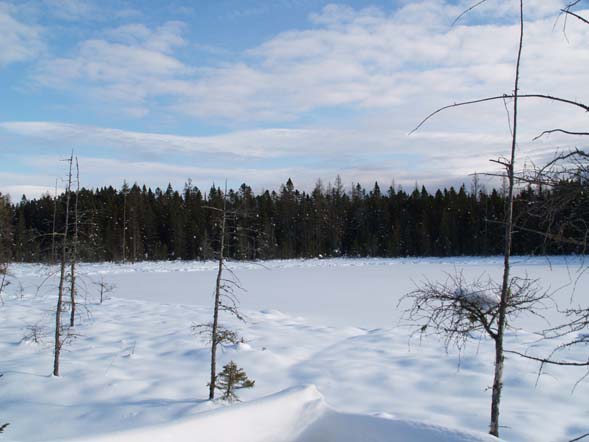 Mud Pond (photo by Webmaster)