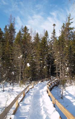 Mud Pond Trail (photo by Webmaster)