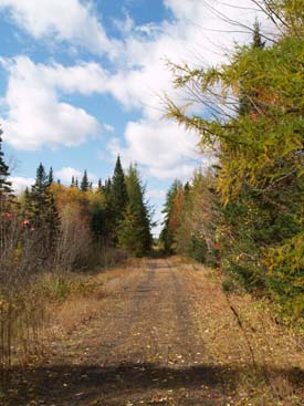 The Presidential Range Rail Trail at Pondicherry Wildlife Refuge (photo by Webmaster)