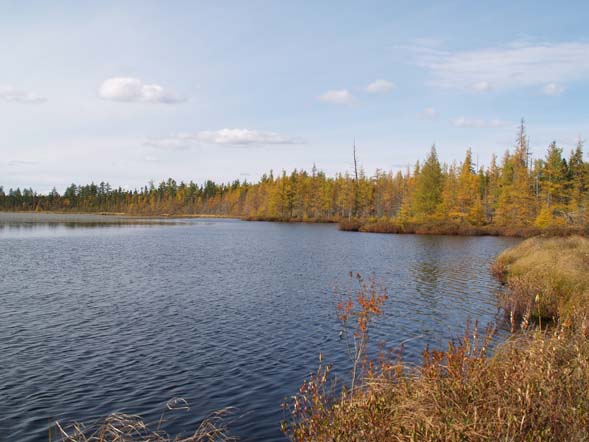 Little Cherry Pond (photo by Webmaster)