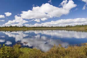 Little Cherry Pond (photo by Ben Kimball for NH Natural Heritage Bureau)