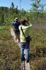 Birding at Ponemah (photo by Ben Kimball for the NH Natural Heritage Bureau)