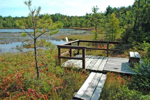 Observation platform at Ponemah Bog (photo by Ben Kimball for the NH Natural Heritage Bureau)