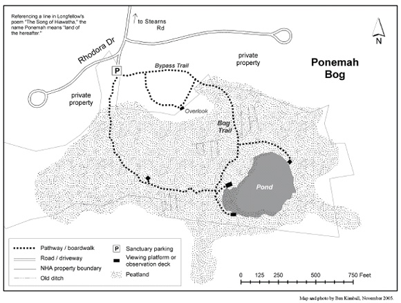 Map of Ponemah Bog (map by Ben Kimball for NH Natural Heritage Bureau)