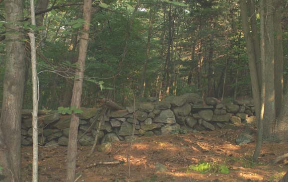 Stone wall along the Orange Trail (photo by Webmaster)