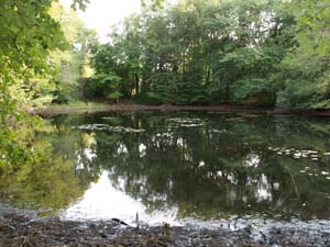 Pond on Orange Trail (photo by Webmaster)