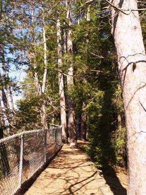 Quechee Gorge Trail (photo by Webmaster)