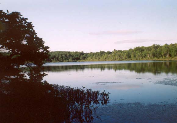 Deering Pond (photo by Phil Blampied)