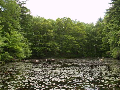 Echo Pond as seen from the footbridge (photo by Webmaster)