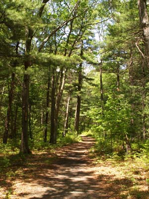 Trail (photo by Webmaster)