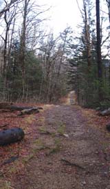 Sam Willey Trail (photo by Webmaster)