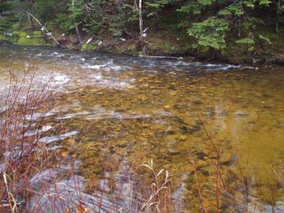 Saco River (photo by Webmaster)