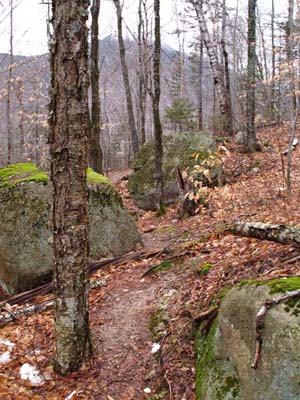 Saco River Trail (photo by Webmaster)