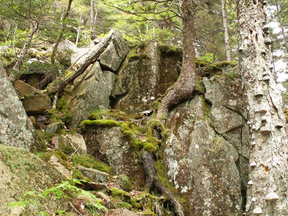 Ledge and boulder-strewn valley below Parkman Mountain (photo by Webmaster)
