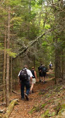 SDH on Grandgent Trail (photo by Webmaster)