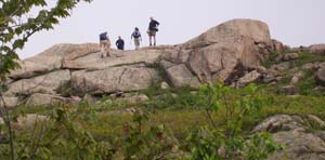 SDH on some ledges (photo by Deb Hann)