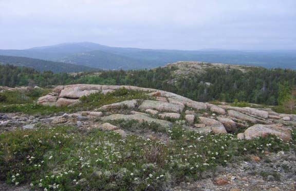 View (photo by Mark Malnati)