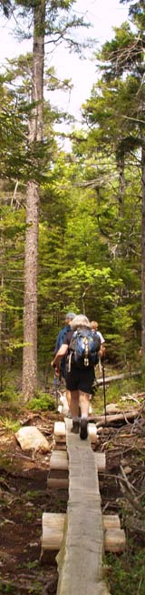 Birch Spring Trail (photo by Webmaster)