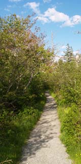 The beginning of Ship Harbor Trail (photo by Webmaster)